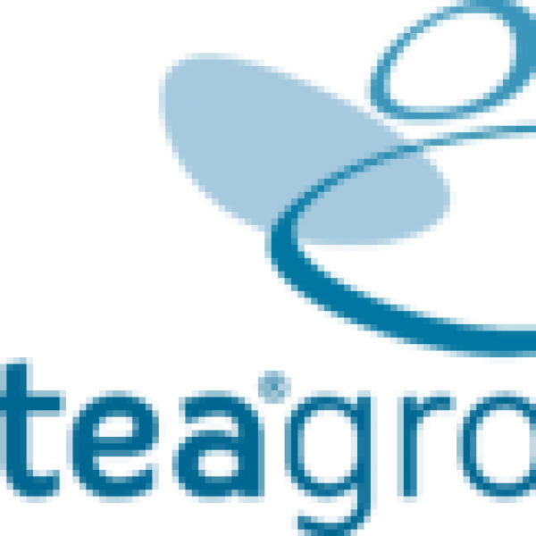 Logo Antea R Group - SANS FOND officiel